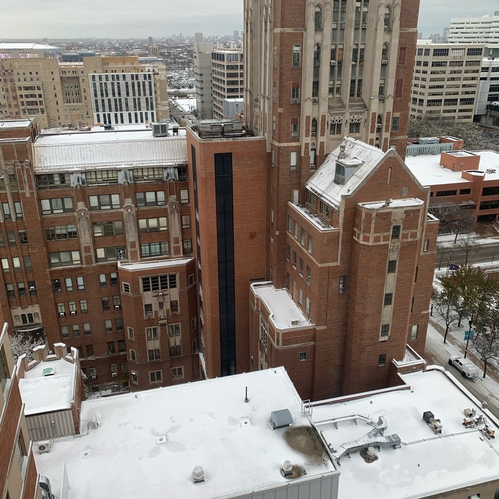 Meet your Posher, Nika